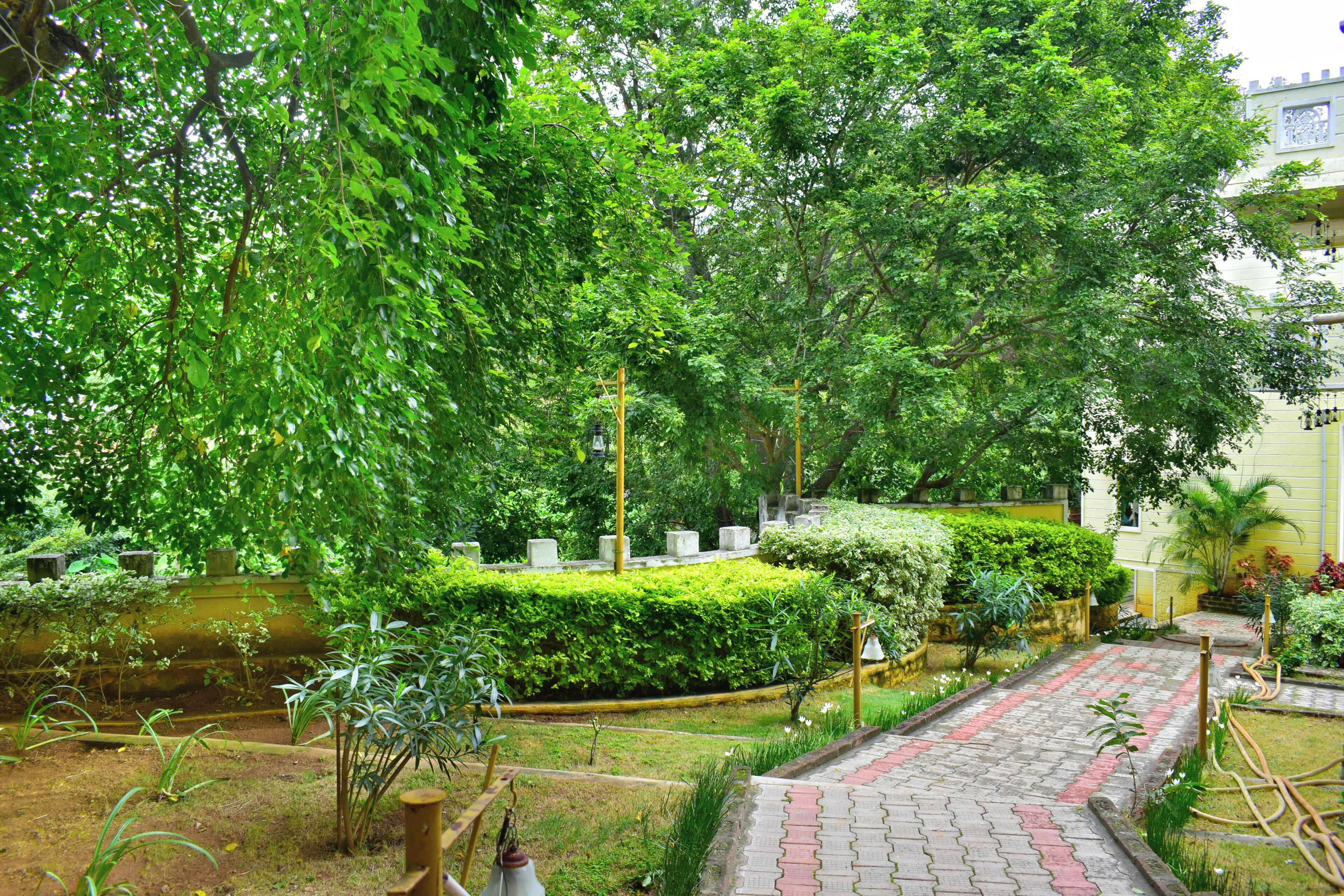 Un jardín exuberante con un camino empedrado, rodeado de abundante vegetación y un edificio al fondo.