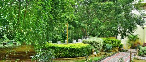 Un jardín exuberante con un camino empedrado, rodeado de abundante vegetación y un edificio al fondo.