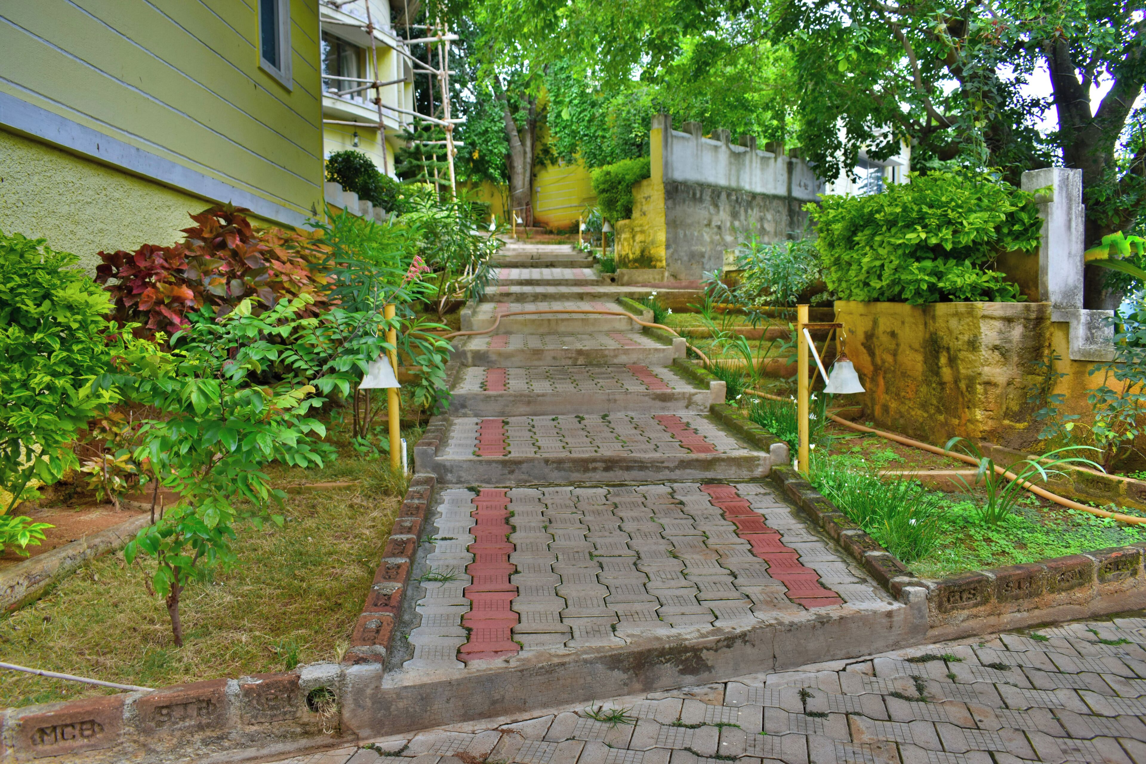 A set of outdoor steps leading up to a building, surrounded by greenery and plants.