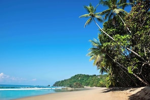 Costa Rica has world class beaches