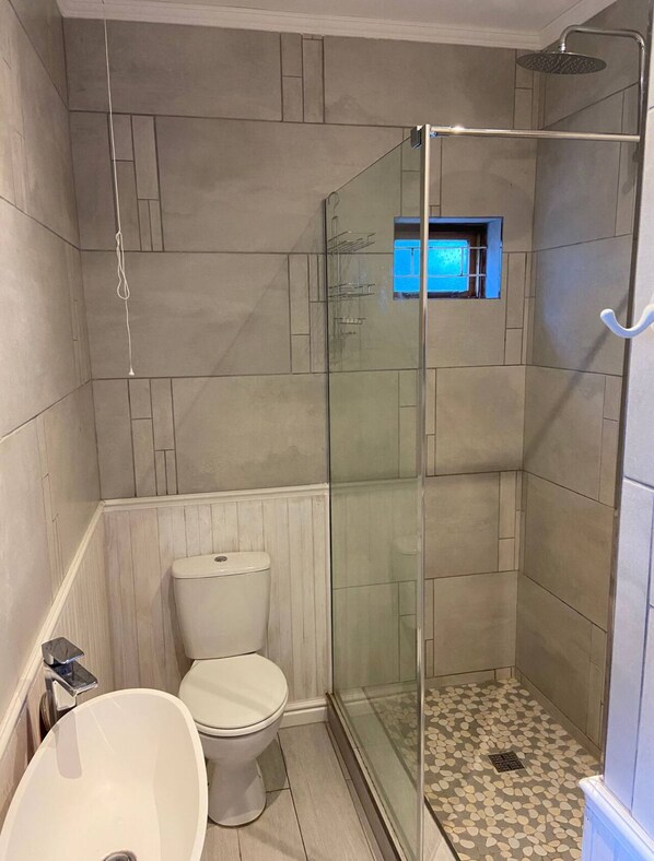 Hair dryer, towels, soap, toilet paper