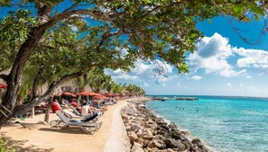 On the beach - Brillante, Villa #33 (Sint Willibrordus)