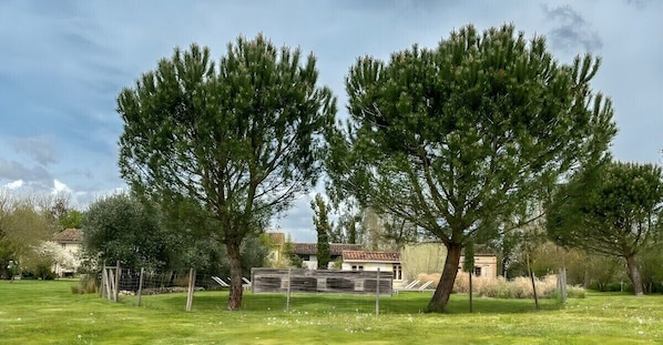 A grassy area with two large trees and a building with a red roof in the background.