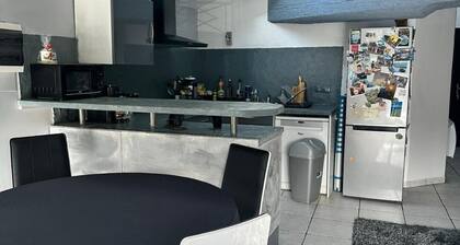 Bel Appartement Spacieux Proche Gare-site Formation Perolliere Ouest Lyonnais