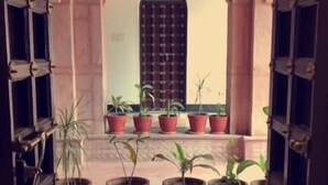 A view through an open doorway with a checkered floor, a black mat, and potted plants arranged in front of a window with a grid pattern. - Chanod Haveli (Jodhpur)