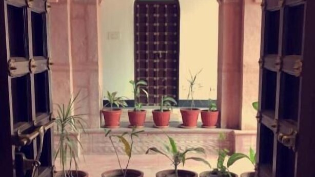 A view through an open doorway with a checkered floor, a black mat, and potted plants arranged in front of a window with a grid pattern. - Chanod Haveli (Jodhpur)