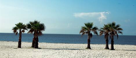 Sur la plage