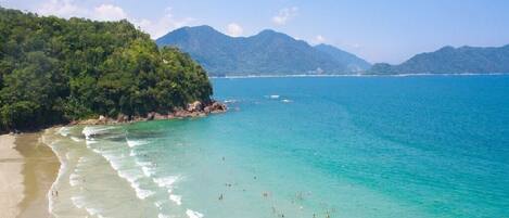 Lettini da mare