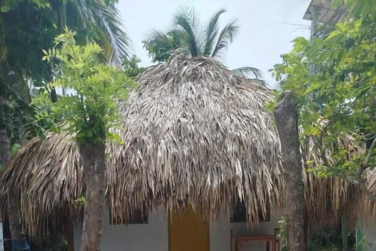 A thatched-roof structure with a door and a small table, surrounded by trees and a dirt ground.