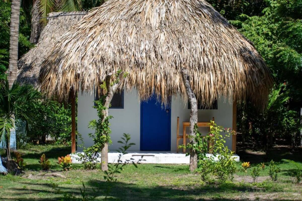 A thatched-roof hut with a blue door, surrounded by greenery.