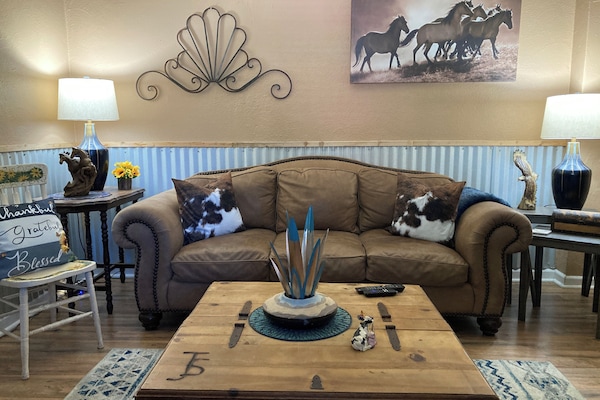 Smart TV, fireplace, books