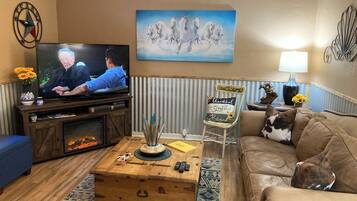 Smart TV, fireplace, books