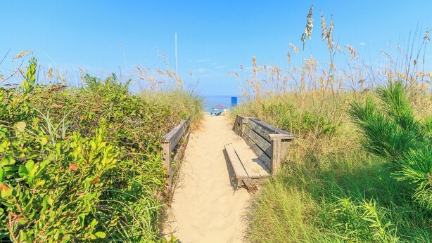 A sandy path leading to a beach with a bench and a small structure in the distance. - Sun Realty pet-friendly oceanside home just 500' to the beach (Duck)