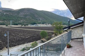 Property grounds - The red poppy (Navelli)