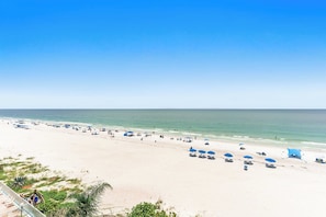 On the beach - New! Beachfront Condo * Stunning Views (Indian Rocks Beach)