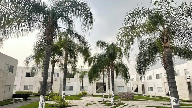 A courtyard with palm trees, a stone pathway, and modern buildings. - Departamento en Fraccionamiento Seguro

 (Yautepec de Zaragoza)