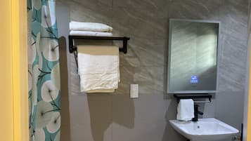 Regadera, secadora de cabello, bidet, toallas