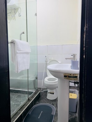 A bathroom with a glass shower enclosure, a white toilet, and a sink with a soap dispenser.