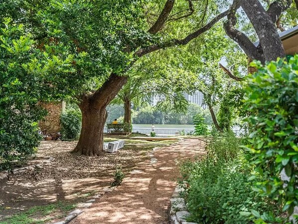 Property grounds - Austin Modern on Lady Bird Lake, kayak or paddleboard, Fast Google Fiber (Austin)