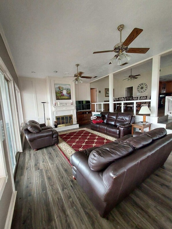 Smart TV, fireplace, books, music library