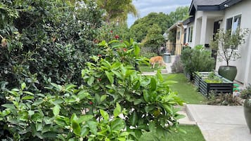 Un jardín bien cuidado con diversas plantas y césped.