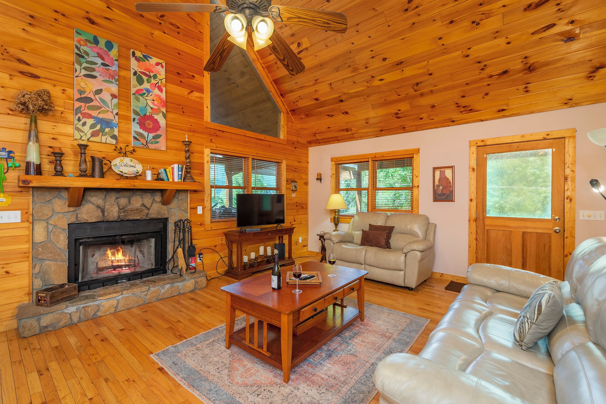 Smart TV, fireplace, books