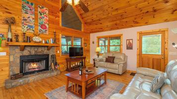 Smart TV, fireplace, books