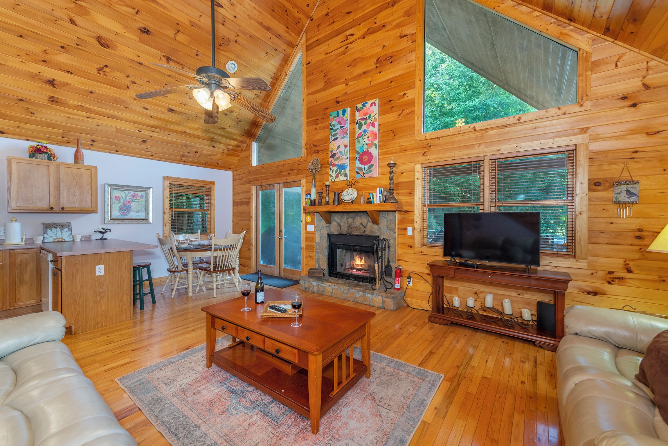 Smart TV, fireplace, books