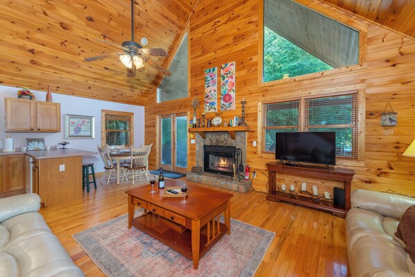 TV connectée, cheminée, livres