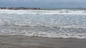 Una playa con olas y un muelle a lo lejos.