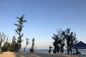 A beach with trees and a tent. - Miss You Guesthouse (Shenzhen)