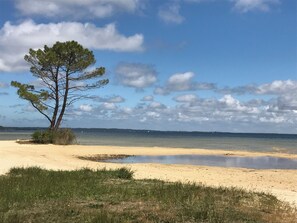 Beach - Joli Villa Tout Confort , au Calme , à 700 m du lac et 5 km de Locéan (Biscarrosse)