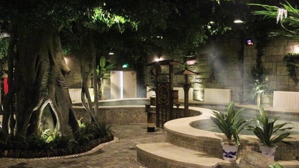 Un patio exterior con una fuente de piedra, plantas en macetas y un árbol grande.