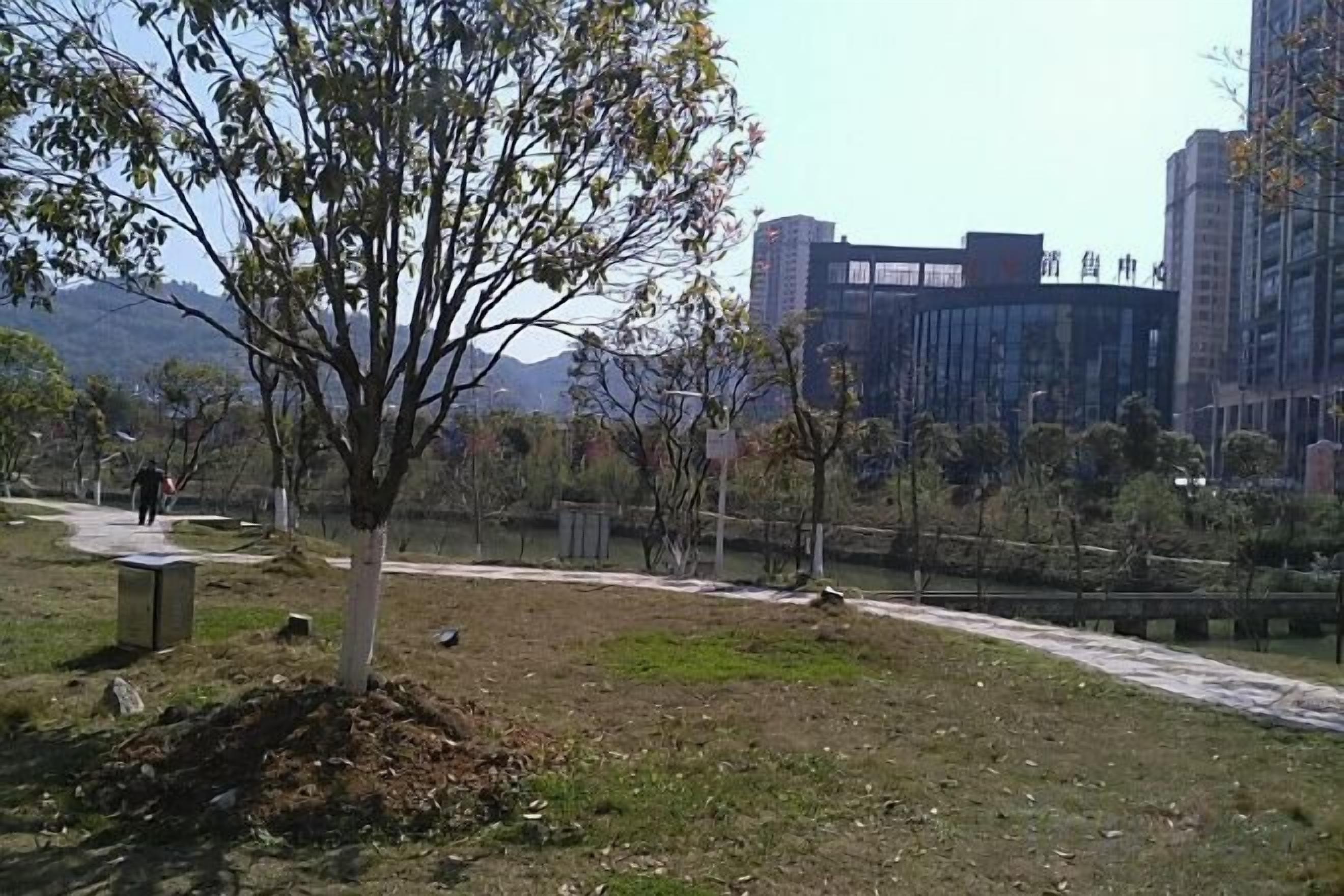 A park with a tree, a path, and a building in the background.