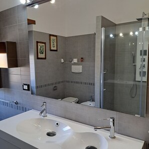 Shower, hair dryer, bidet, towels