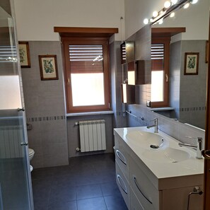Shower, hair dryer, bidet, towels