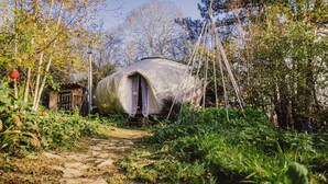 A geodesic dome structure with a covered entrance, surrounded by dense vegetation and a stone pathway.