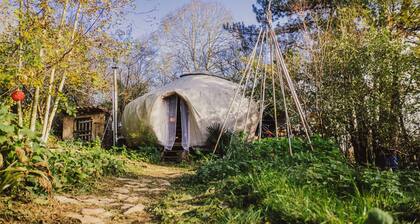 Logements Nature et Soins Pour se Ressourcer