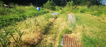 Logements Nature et Soins Pour se Ressourcer