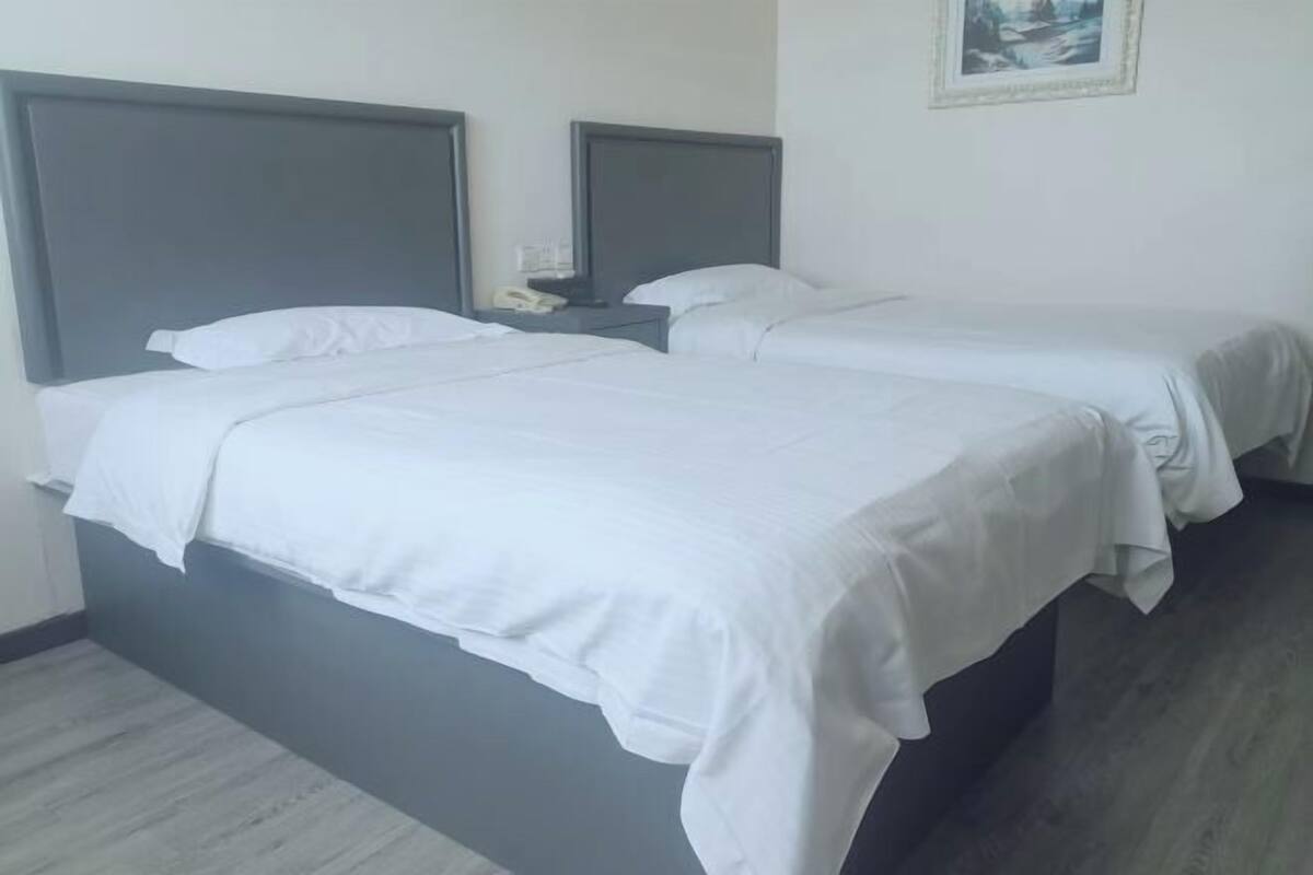 A hotel room with two single beds, each with a grey headboard and white bedding. There is a small bedside table with a lamp and a telephone.