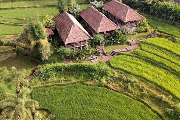 A traditional thatched-roof house surrounded by terraced rice fields. - Sawah Indah Villa (Bali)