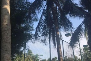 A view of tall palm trees and a chain-link fence. - Boao Canal Village Resort (Qionghai)