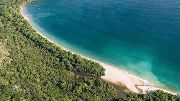 An aerial view of a coastal area with a beach, dense greenery, and clear blue waters.