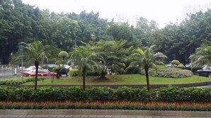 Uma área ajardinada com palmeiras, um canteiro de flores circular e um caminho pavimentado.
