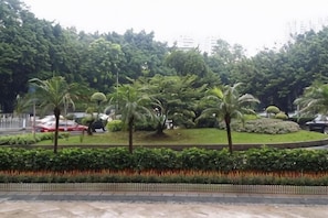 Zona ajardinada con palmeras, un parterre circular y un sendero pavimentado.