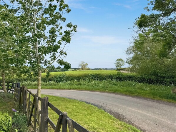 A rural road with a wooden fence on one side and lush greenery on the other.