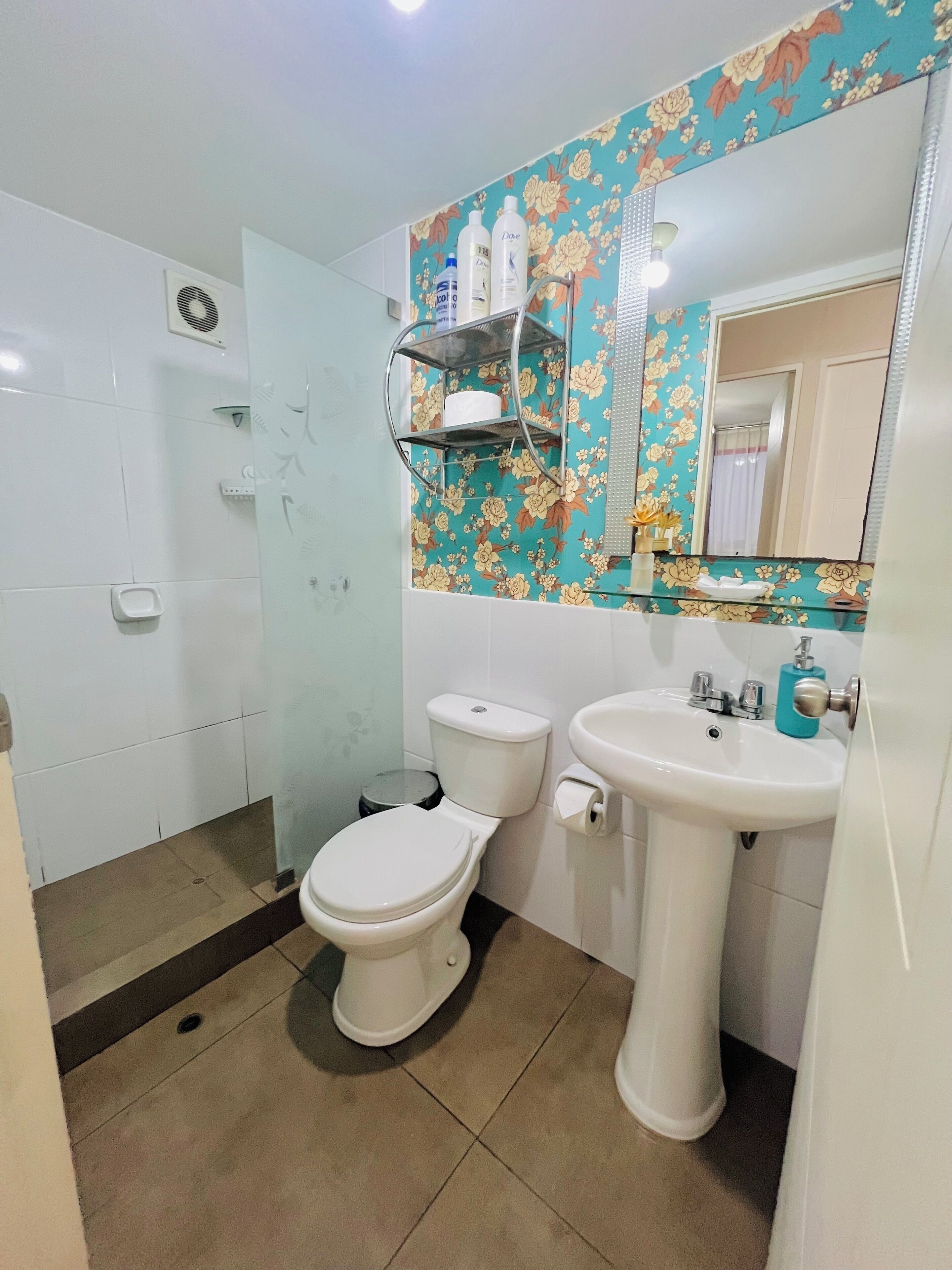 Ducha, secador de pelo, toallas y jabón