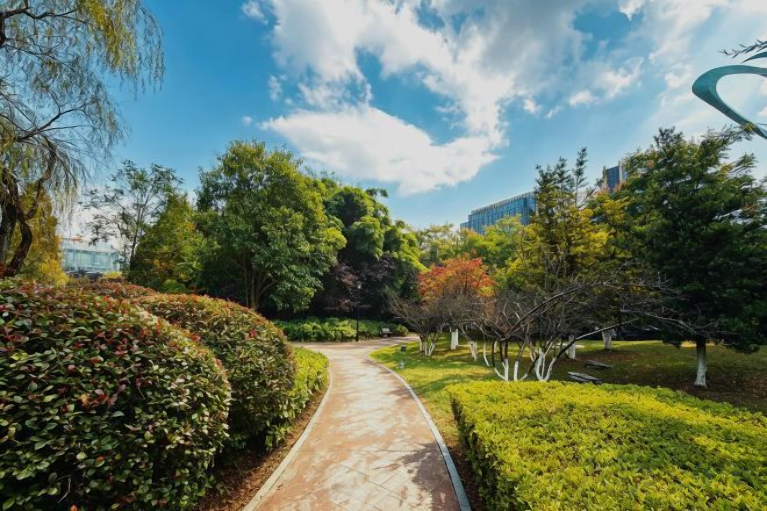 A pathway flanked by neatly trimmed hedges and trees, leading towards a building in the distance.