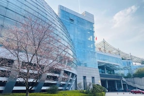 Unclassified image, 3 of 50, button - Jinyang Hotel (Exhibition Center Store)) (Guiyang)