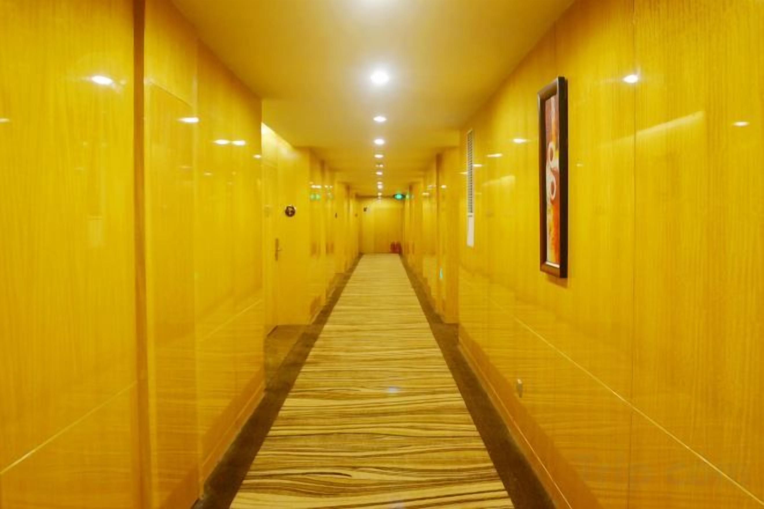 Un pasillo largo y estrecho con alfombra estampada y paredes amarillas.